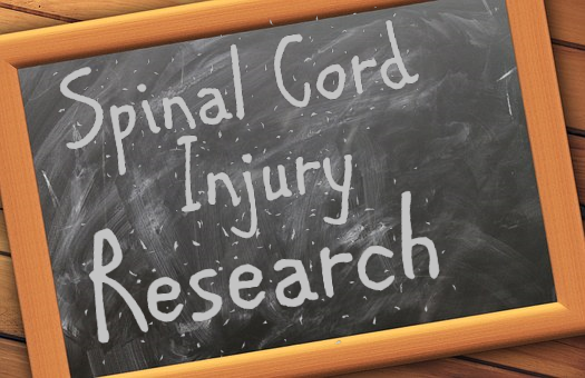 Spinal Cord Injury Research-2016
