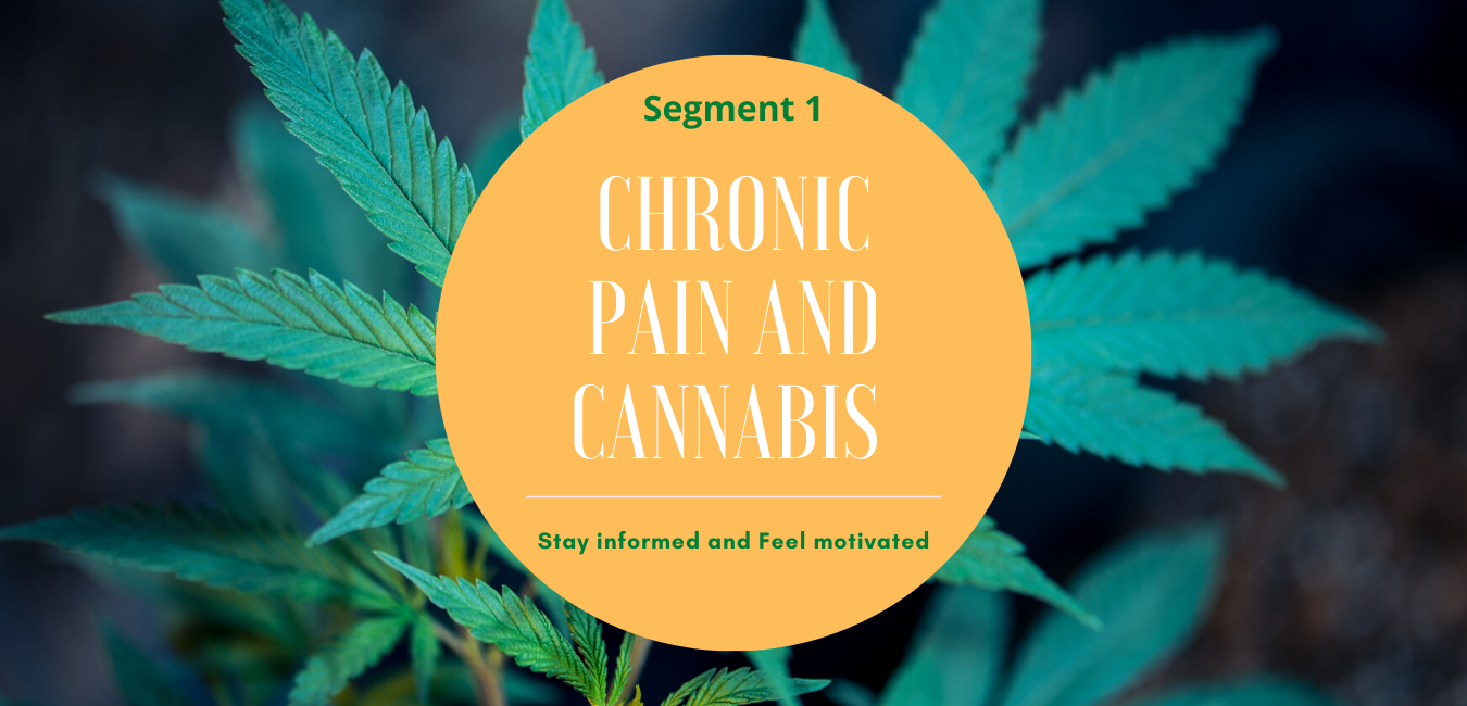 Episode 1: Series Chronic Pain -Segment 1- 3 Cannabis Patients Share Their Results